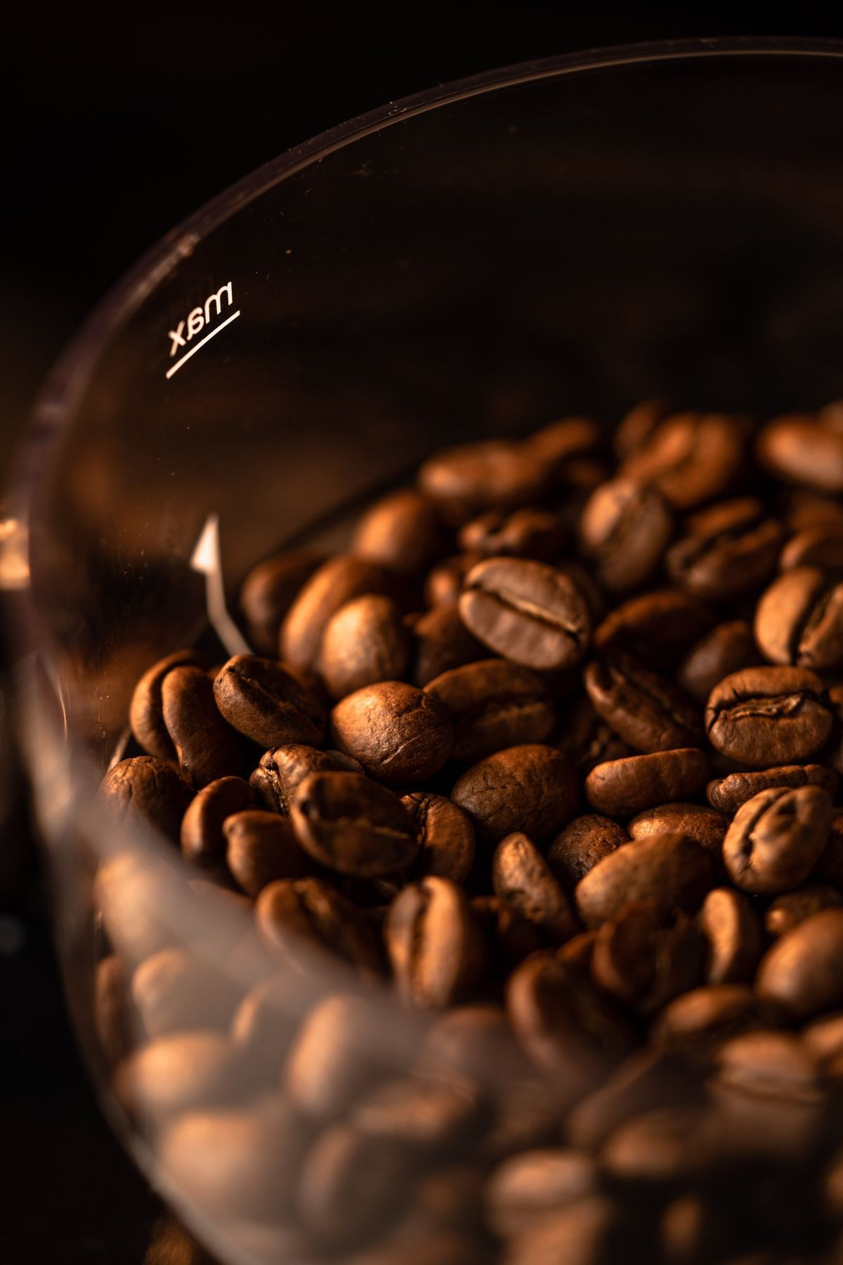 Coffee beans tumbling inside a roaster