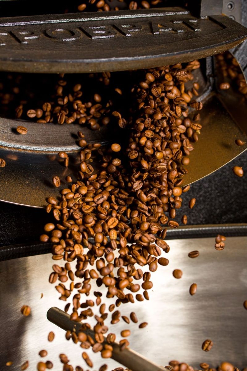 Roasted coffee beans leaving a professional roasting machine