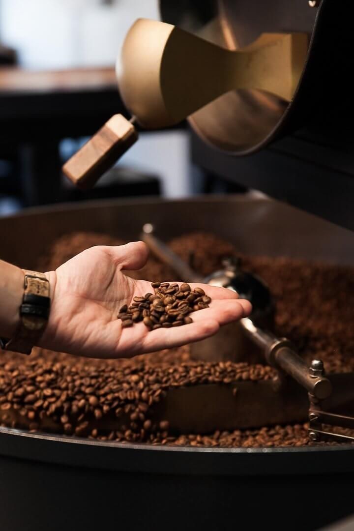 Freshly roasted coffee beans being checked by hand